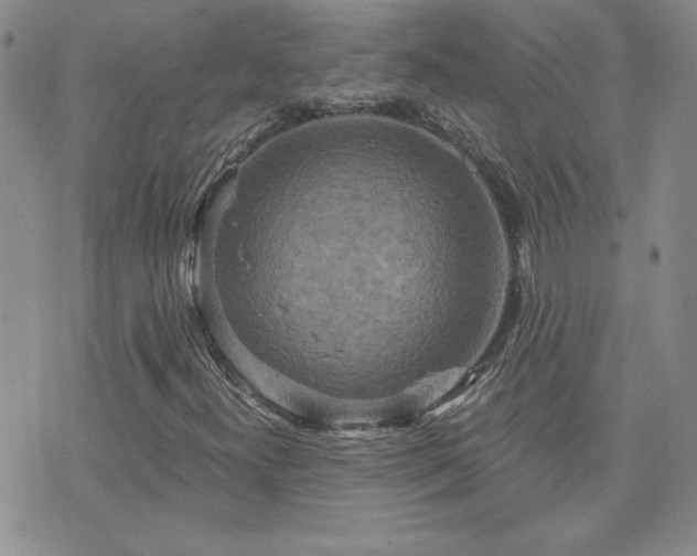 X0000071851300200606301327