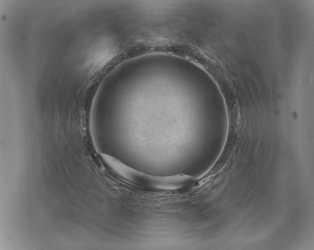 X0000071851301200606301327