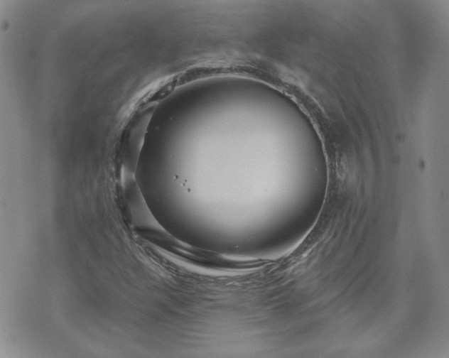 X0000071851304200606301327