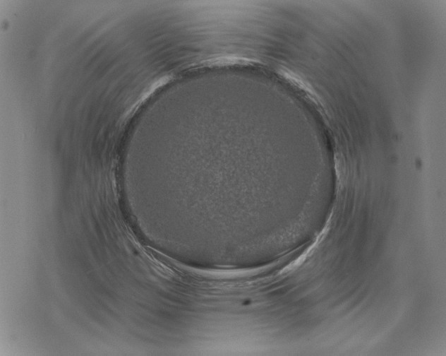 X0000071851305200606301327