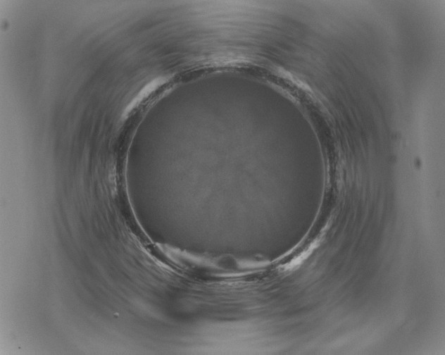 X0000071851306200606301327