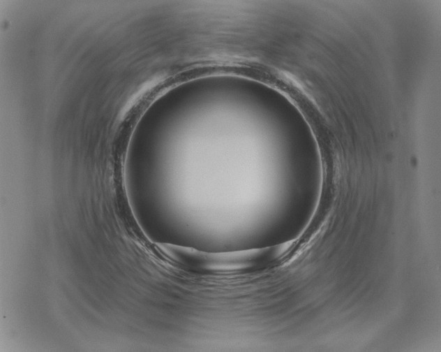 X0000071851307200606301327