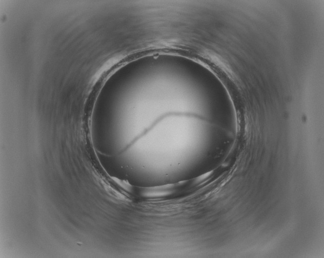 X0000071851308200606301327