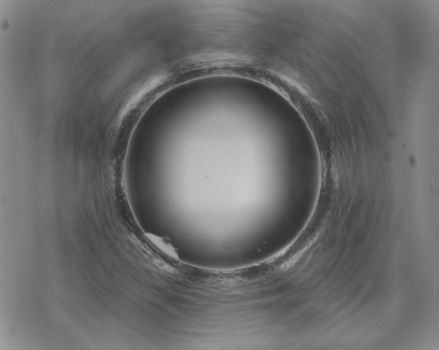 X0000071851309200606301327