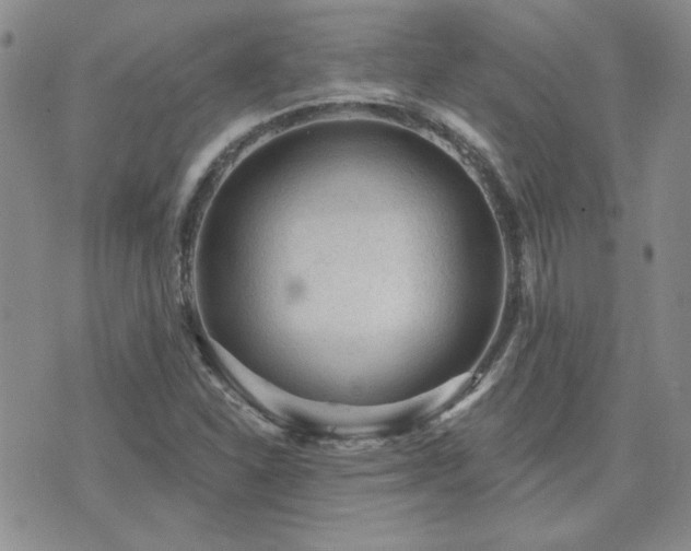 X0000071851310200606301327