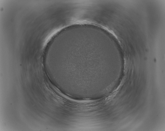 X0000071851311200606301327