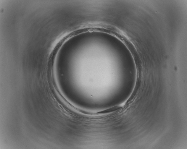 X0000071851312200606301327