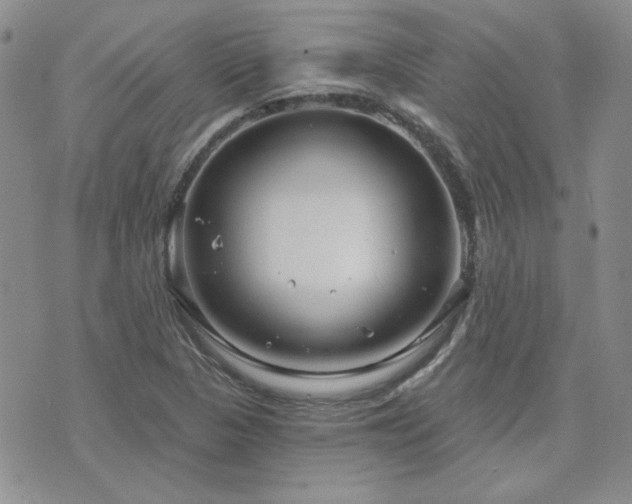 X0000071851313200606301327