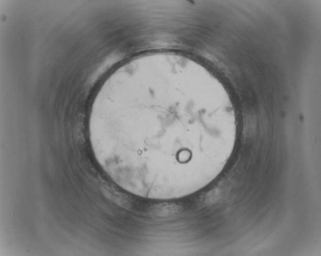 X0000071851314200606301327