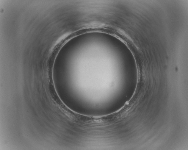 X0000071851315200606301327