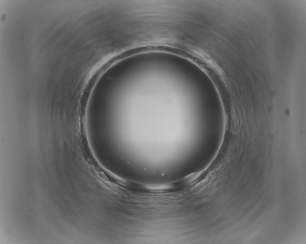 X0000071851316200606301327