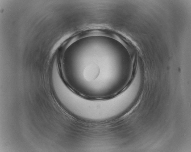 X0000071851317200606301327