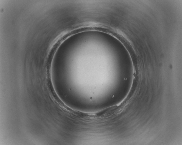 X0000071851318200606301327