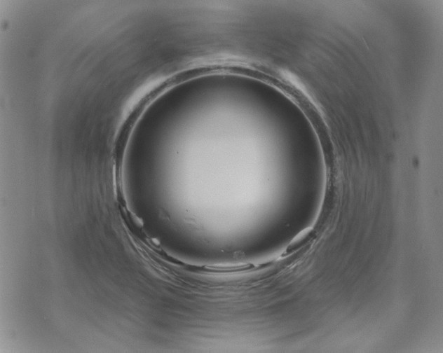 X0000071851320200606301327