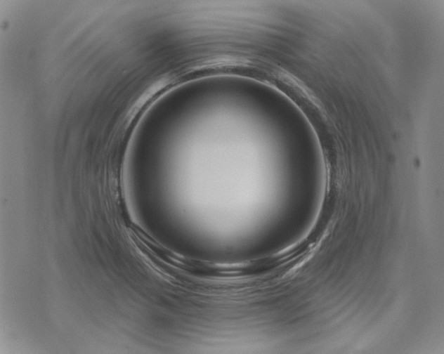 X0000071851321200606301327