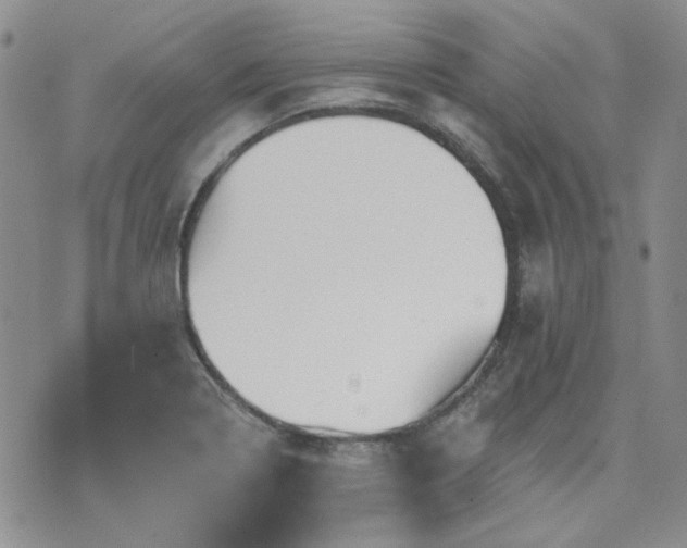 X0000071851322200606301327