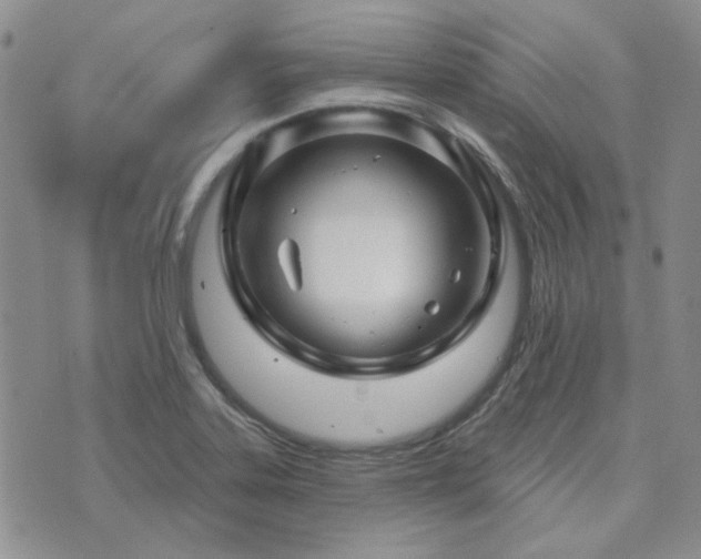 X0000071851323200606301327