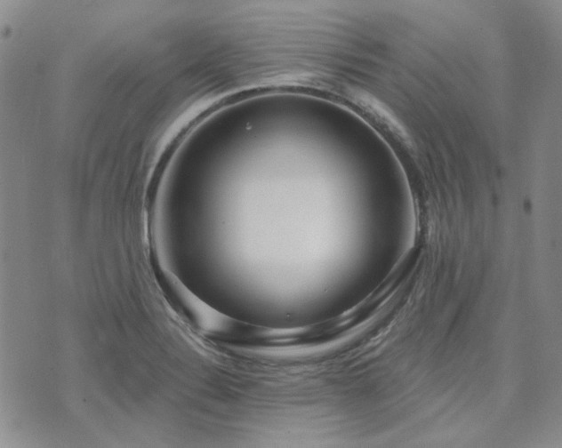 X0000071851324200606301327