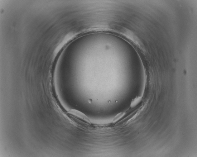 X0000071851325200606301327