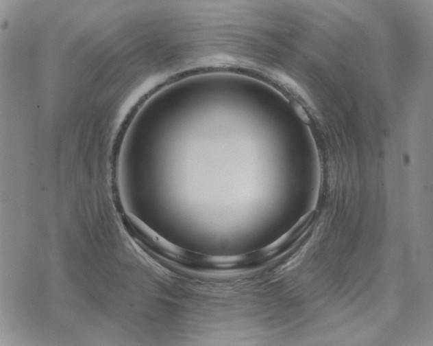 X0000071851326200606301327