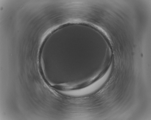 X0000071851327200606301327