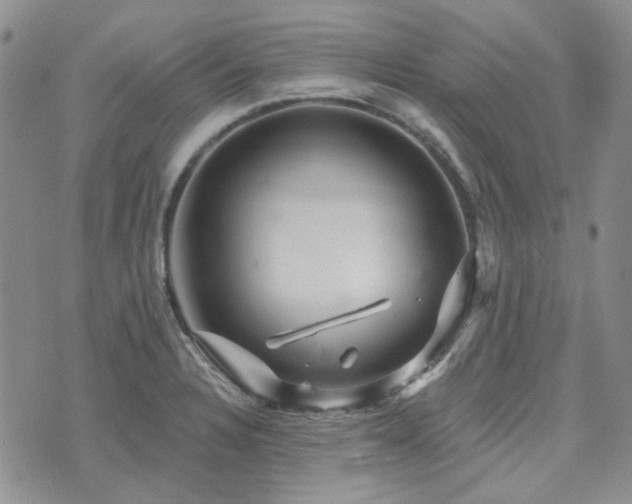 X0000071851328200606301328