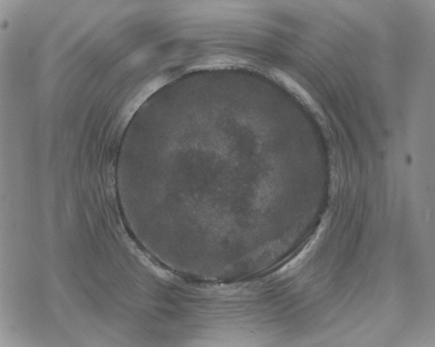 X0000071851329200606301328