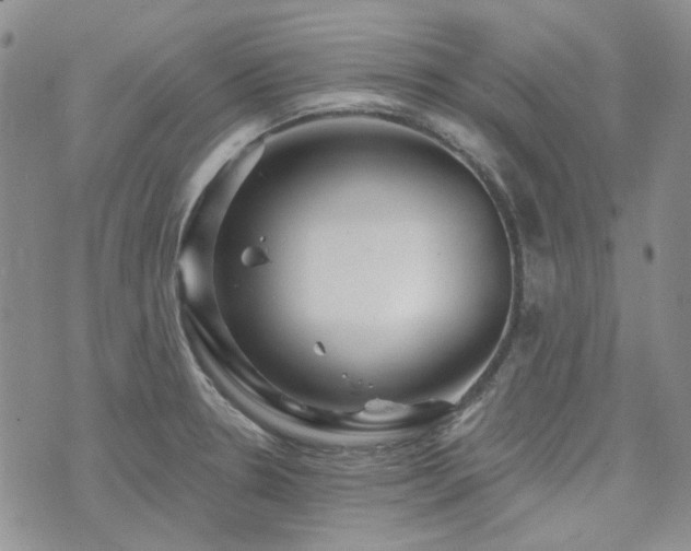 X0000071851330200606301328