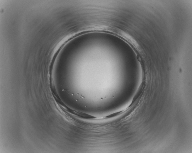 X0000071851332200606301328