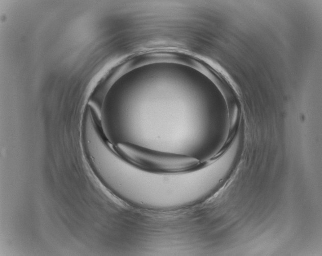 X0000071851333200606301328