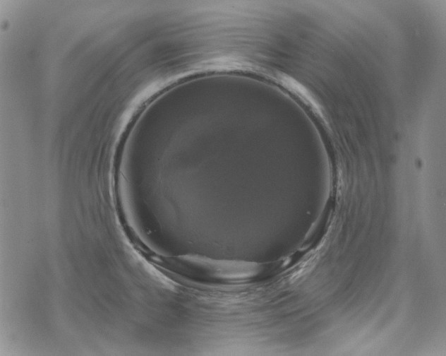 X0000071851334200606301328