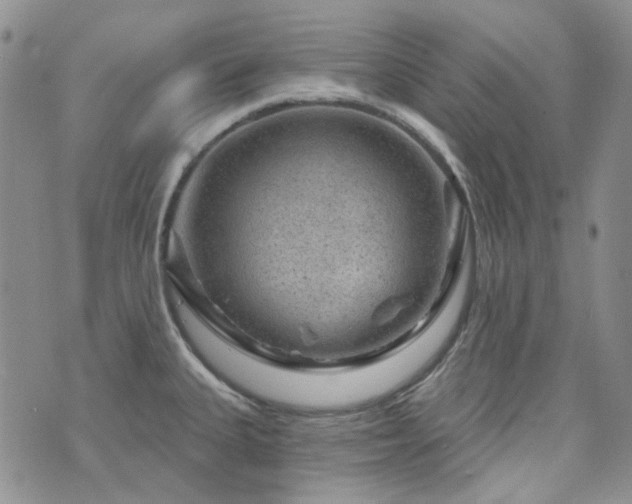 X0000071851335200606301328