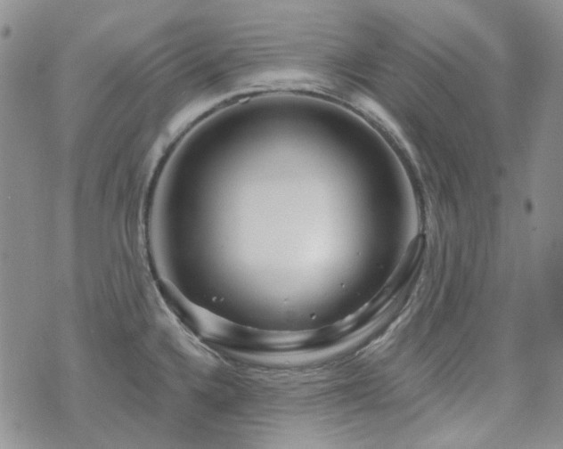 X0000071851336200606301328