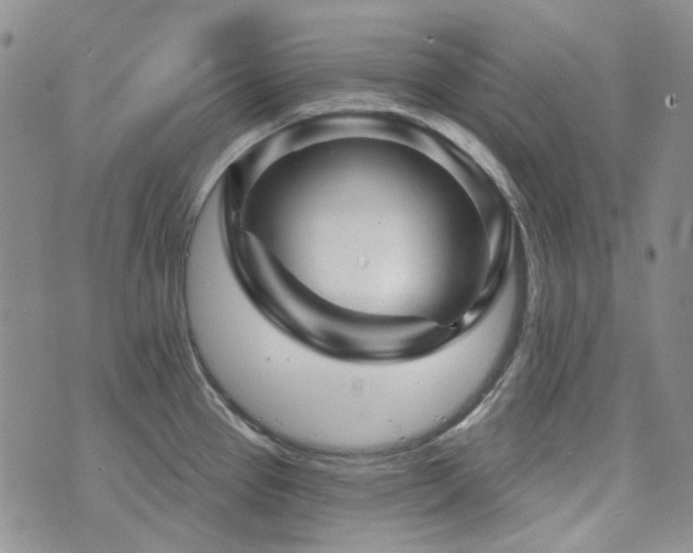 X0000071851337200606301328