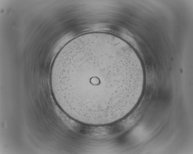 X0000071851338200606301328