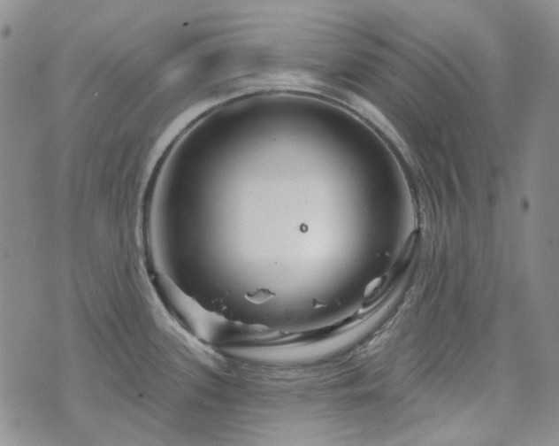 X0000071851339200606301328