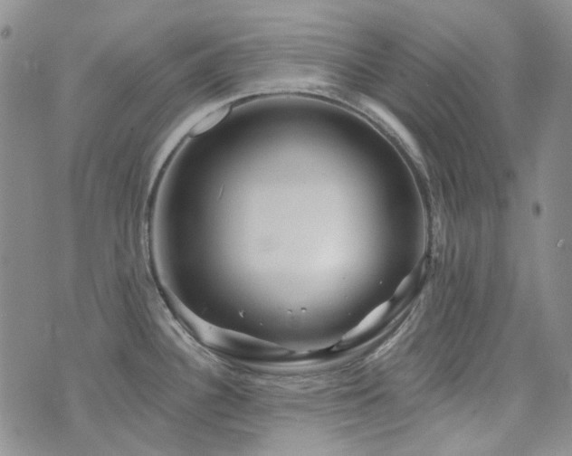 X0000071851340200606301328