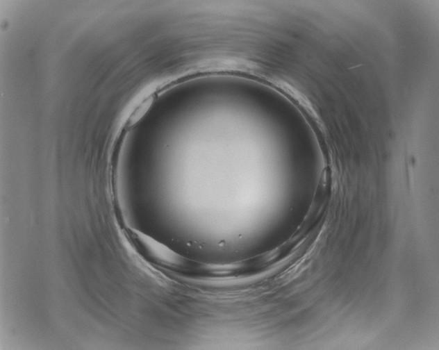 X0000071851342200606301328