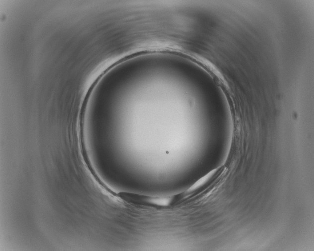 X0000071851343200606301328