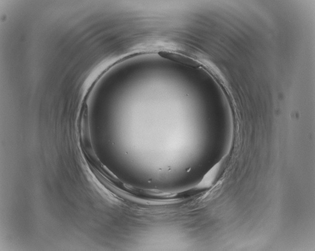 X0000071851344200606301328