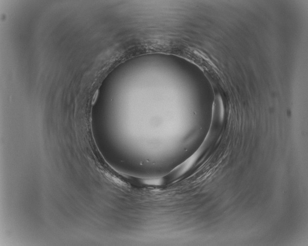 X0000071851345200606301327