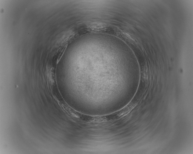 X0000071851346200606301327