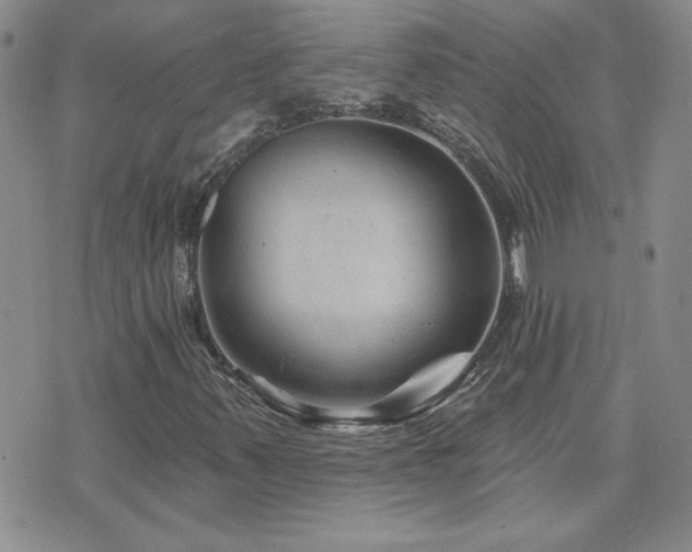 X0000071851347200606301327