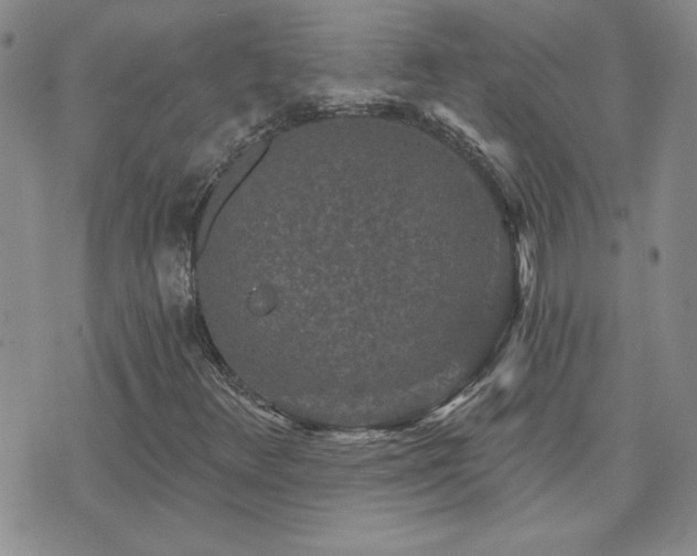 X0000071851348200606301327