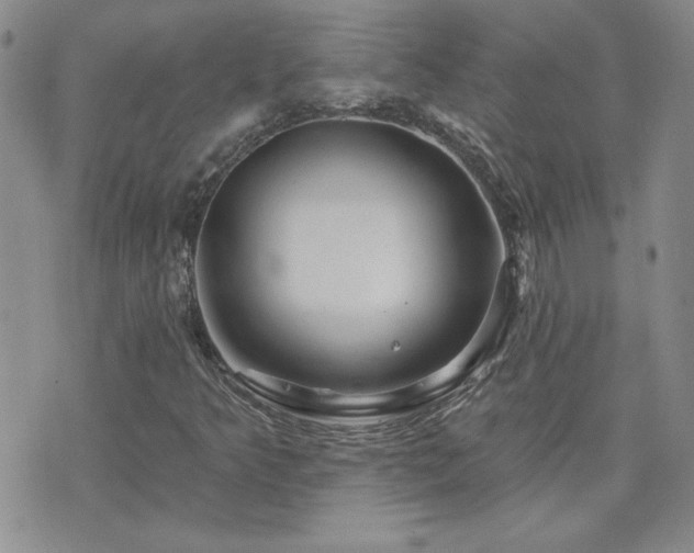 X0000071851349200606301327