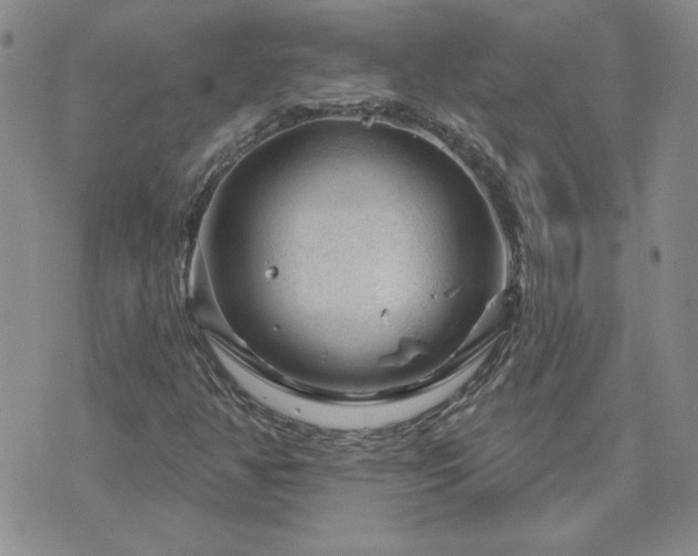 X0000071851350200606301327