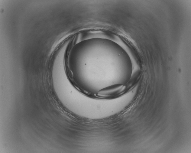 X0000071851352200606301327