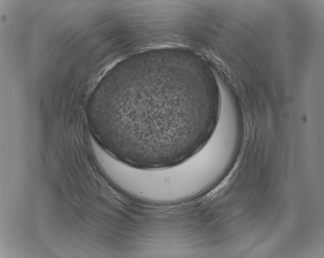 X0000071851353200606301327