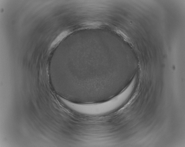 X0000071851354200606301327