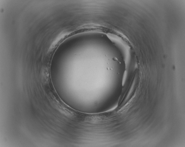 X0000071851355200606301327